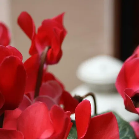 Imbarcadero Appartamento